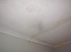 Ceiling stains and cornice damage in Bed 1 behind shower.jpg