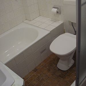 bathroom reno